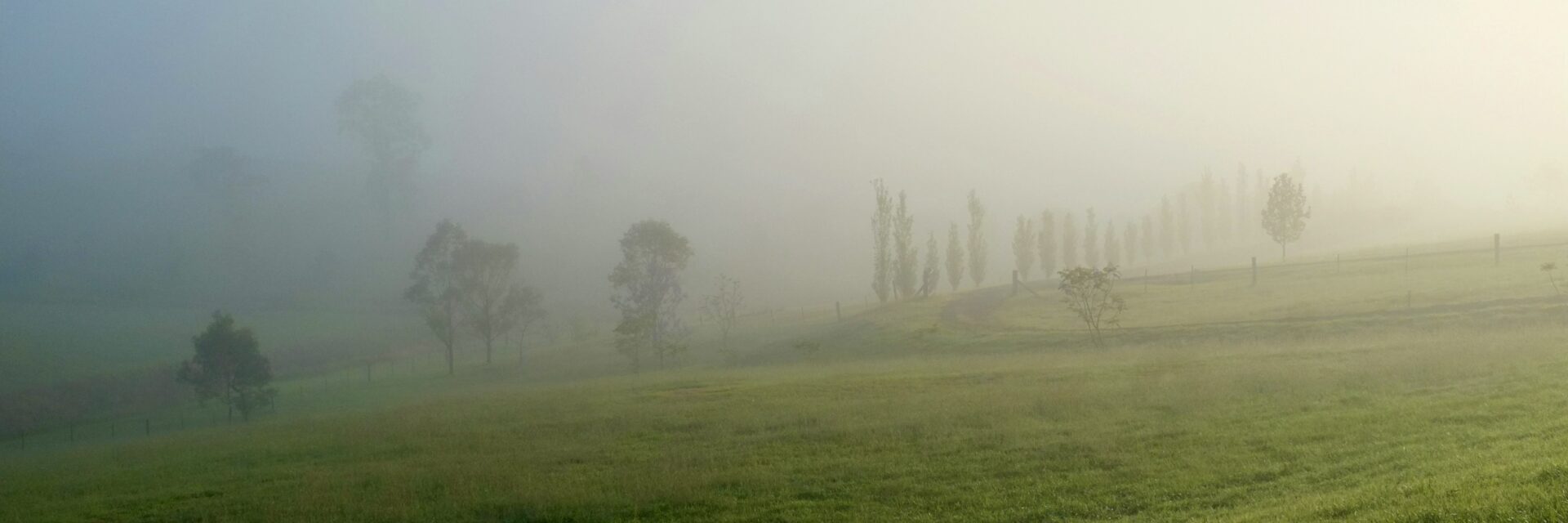 Chris gresham britt JAkStfQDhkY unsplash scaled.jpg